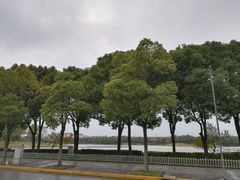 -美兰湖景区