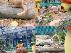 -佛冈森波拉度假区