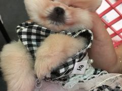 -远洋未来广场(育慧北路店)