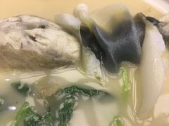 养颜白汁河豚-肆月河豚·新淮扬(金融街店)