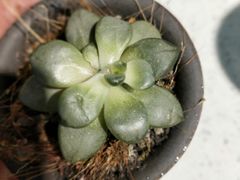 -嘉凯影城(西安恒大城店)