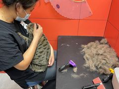 -瑞派·爱瑞可动物医院·口腔专科(广华新城分院)