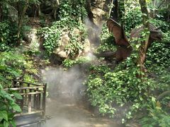 -呀诺达热带雨林