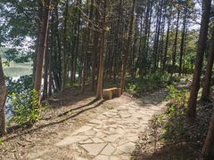 -梁鸿国家湿地公园