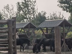 -太原动物园