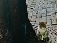 -西区老大房(愚园路店)