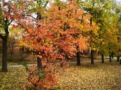 -国家植物园南园