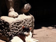 -竹吟山房