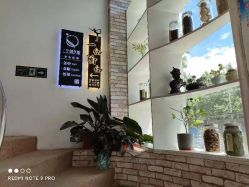 -一伽瑜伽·普拉提