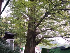 -径山寺