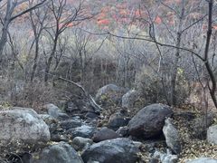 -云岫谷自然风景区