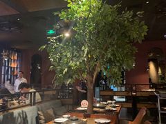 -同仁四季椰子鸡(宝安壹方城店)