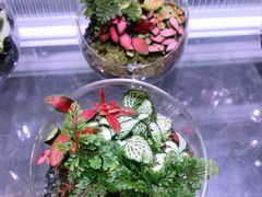 -KKV(深圳宏发大仟里店)