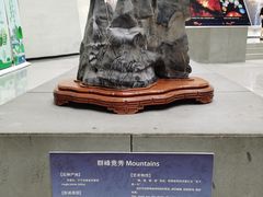 -中华赏石园