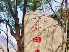 -八卦田遗址公园