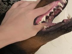 -宠福鑫康馨动物医院·骨科·眼科
