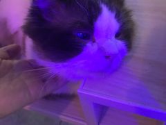 -极木²邸 人与宠物·互动社区