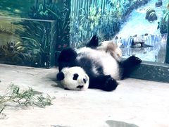 -天津市动物园