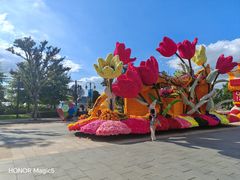 -荷兰花海