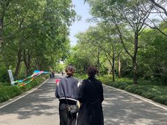 -同里国家湿地公园