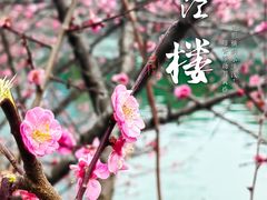 -望江楼公园