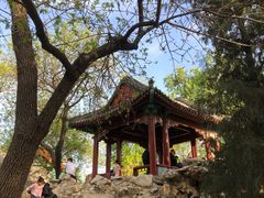 -宣武艺园