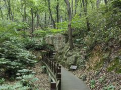 -句容茅山景区