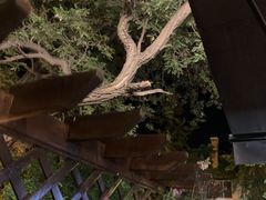 -LAMP BAR 水烟音乐酒吧