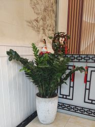 -道亨堂·艾灸经络养生馆
