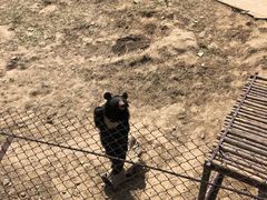-青岛森林野生动物世界