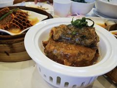 -欢乐海岸美食联盟