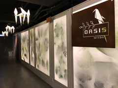 门面-Oasis Bar & Grill