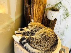 -创艺无限·赵春香微妙艺术馆