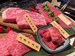 -老乾杯(深圳湾万象城店)