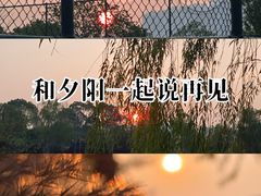 -洋湖国家湿地公园