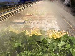 -懂食汇自助火锅