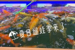 -喜宝时光儿童城