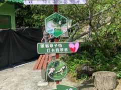 -黄山翡翠谷景区
