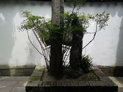-太平天国侍王府