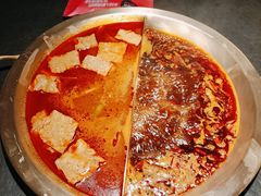 -九鼎轩脆毛肚火锅(南京东路店)