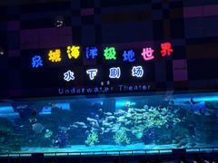 -泉城欧乐堡海洋极地世界