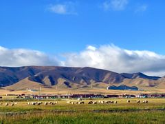 -青海湖国家重点风景名胜区