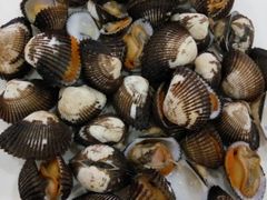 -海精英海鲜世界(台海路店)