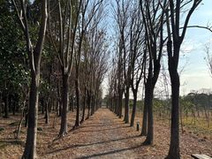-嘉北郊野公园