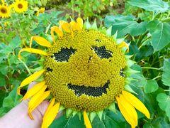 -汉长安城未央宫国家考古遗址公园