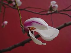 -东华门大街小区