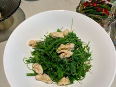 辣木苗鲜桃仁-悦融琥珀·京鲁菜·海味珍品(西单店)
