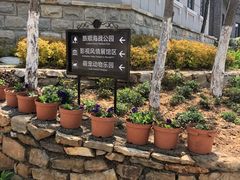 -清风小镇闯关东影视基地