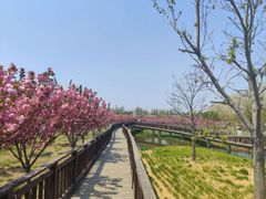 -羊亭河湿地公园