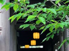 -滴水湖
